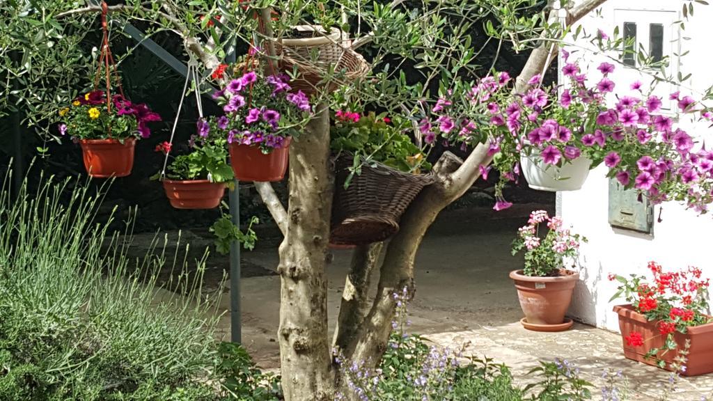 Holiday House Altea Banjole Rom bilde