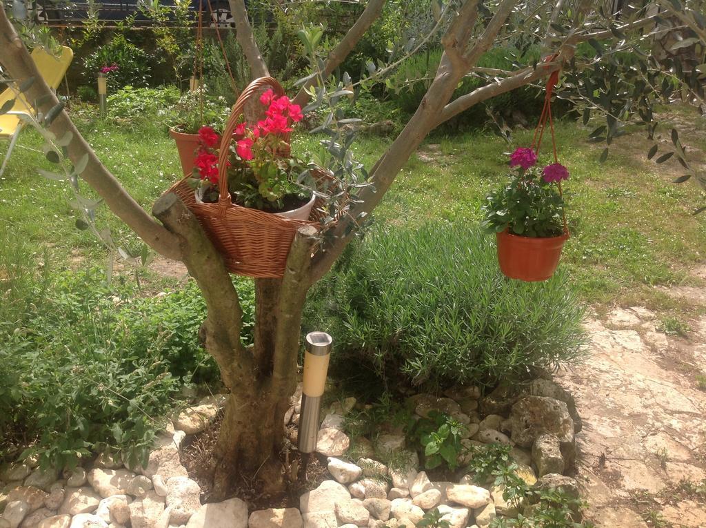 Holiday House Altea Banjole Rom bilde