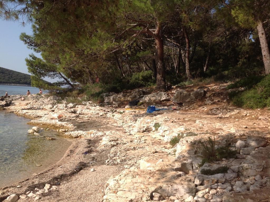 Holiday House Altea Banjole Rom bilde